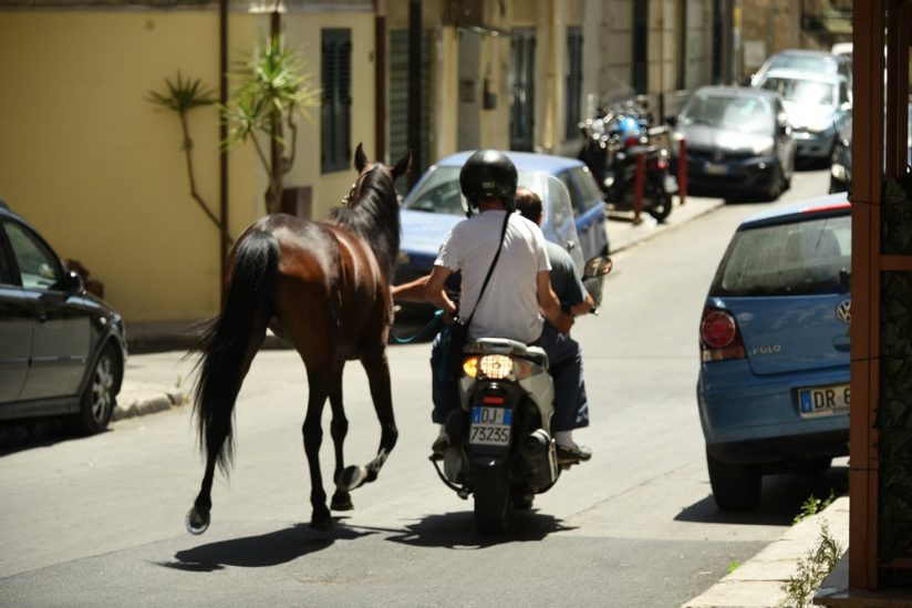 Un cheval promené par deux hommes en scooter